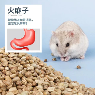 อาหารหนูแฮมเตอร์ Hamster Food [Luxury formula 50%]🐹 สำหรับแฮมเตอร์ทุกสายพันธุ์,แกสบี้,กระรอก ขนาด 490~500 g.