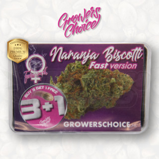 Naranja Biscotti Fast Version (Photo) - Growers Choice เมล็ดกัญชา นำเข้าแท้100% เมล็ดเพศเมีย