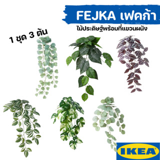 FEJKA เฟคก้า ไม้ประดิษฐ์พร้อมที่แขวนผนัง IKEA