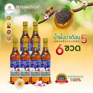 🌳น้ำผึ้งเกสรดอกไม้ป่าเดือน5แท้ 🐝🍯ตรา สยาม ฟอเรสต์ 🍯🌳ชุด 6 ขวด🌳🍯แพ็คเกจขวดเหลี่ยม✅