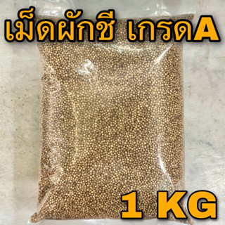 เม็ดผักชี ลูกผักชี 1 กิโลกรัม (香菜子 1 Kg) Coriander seed เมล็ดผักชี  1 กก. 芫荽种子 เครื่องเทศเกรดA หมักเนื้อสัตว์ เครื่องแกง