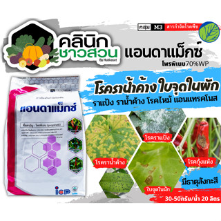 🥬 แอนดาแม็กซ์ (โพรพิเนบ) บรรจุ 1กิโลกรัม ป้องกันเชื้อราใบจุด ราน้ำค้าง แอนแทรคโนส