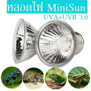 หลอดไฟ UVA+UVB 3.0 หลอดไฟให้ความร้อน หลอดแสงอาทิตย์ เสริมแคลเซียม 25W 50W 75W