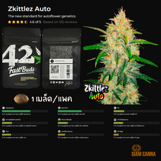 เมล็ดกัญชา Zkittlez Auto - Fastbuds Pack : 1 seed พร้อมแพ็คเกจค่าย เมล็ดกัญชาออโต้