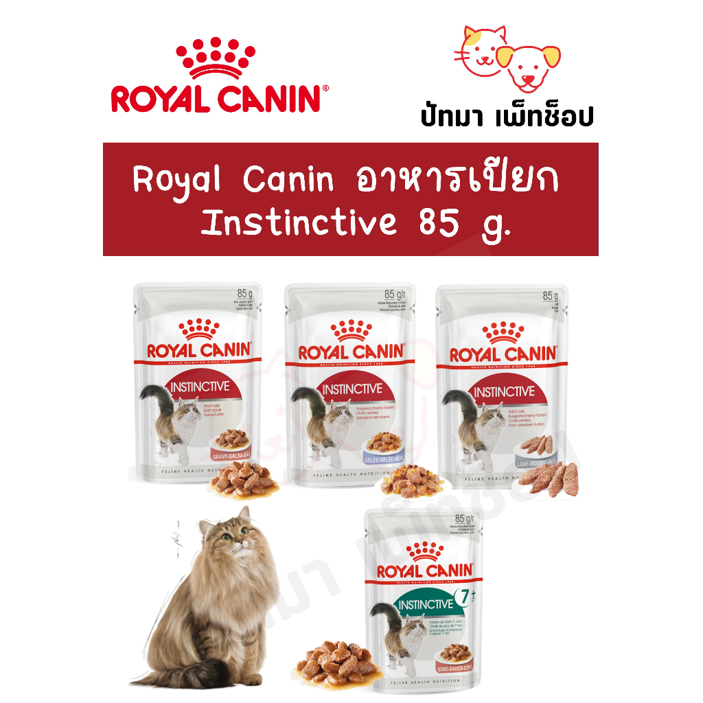 ( 6,12 ซอง ) Royal Canin สูตร Instinctive
