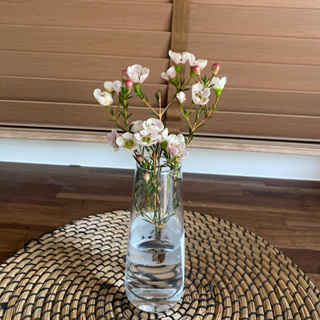 แจกัน แจกันใบเล็ก แจกันแก้ว มี2แบบ IKEA 🌈 TIDVATTEN และ BERÄKNA ของตกแต่งบ้าน vase แจกันสวยๆ home decoration