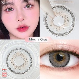 mocha gray Roze เทาตาคม สวยเลนส์ฟุ้ง