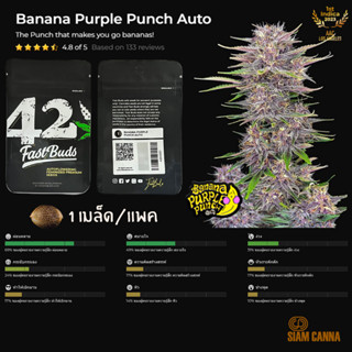 เมล็ดกัญชา Banana Purple Punch Auto - Fastbuds Pack : 1 seed พร้อมแพ็คเกจค่าย เมล็ดกัญชาออโต้