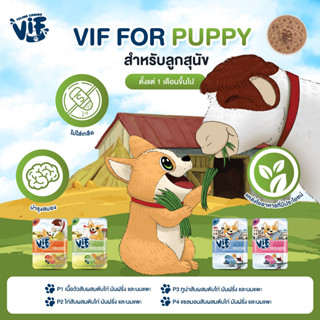 Felina Canino VIF for Dog อาหารเปียกสำหรับลูกสุนัข ขนาด 75g.