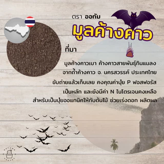 🦇🦇 มูลค้างคาว มูลค้างคาวเบา เพิ่มสารอาหารในดิน เพิ่มค่าฟอสฟอรัส ปุ๋ยออแกนิค Organic100% 🦇🦇