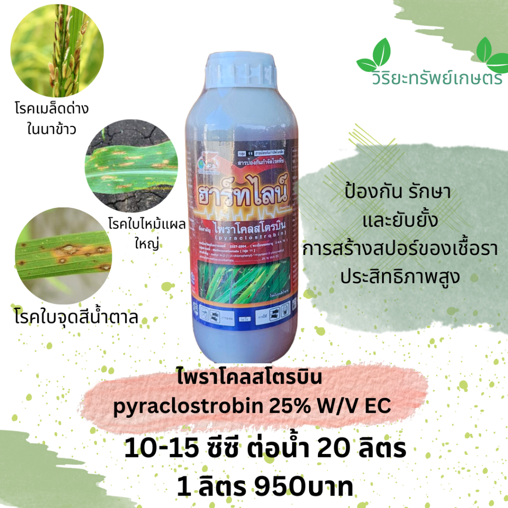 800- เฉพาะ 10.10เท่านั้น ฮาร์ทไลน์ ไพราโคลสโตรบิน pyraclostrobin 25 % W/V EC ยับยั้ง จำกัดรา 1L.