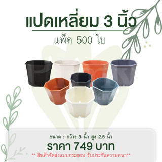 กระถางแคคตัส 3 นิ้ว ทรงแปดเหลี่ยม ยกกระสอบ 500 ใบ สีขาว สีดำ สีเทา สีอิฐ