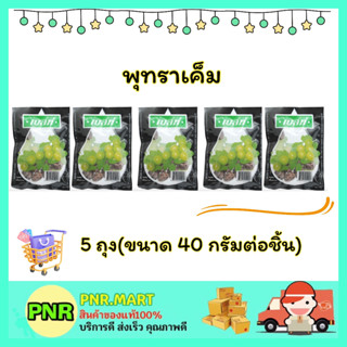 PNR.mart 5x(40g) เบสท์ พุทราเค็ม บ๊วยเค็ม salted jujube dried fruite snack ขนม ผลไม้อบแห้ง กินแก้ง่วง ของเปรี้ยว ฮาลาล