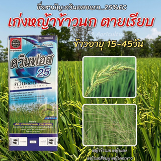 ยาเก็บ ควินฟอส 25 🌾 ยาฆ่าหญ้าในนาข้าว 🌾 ควินคลอแรก  สารกำจัดวัชพืช เก่งหญ้าข้าวนก หญ้านกสีชมพู ข้าวไม่แดง ข้าวไม่งัน