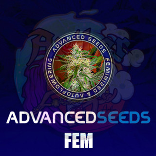 [โฟโต้แบ่ง] Advanced Seeds - คัดพพิเศษสายพันธุ์โฟโต้