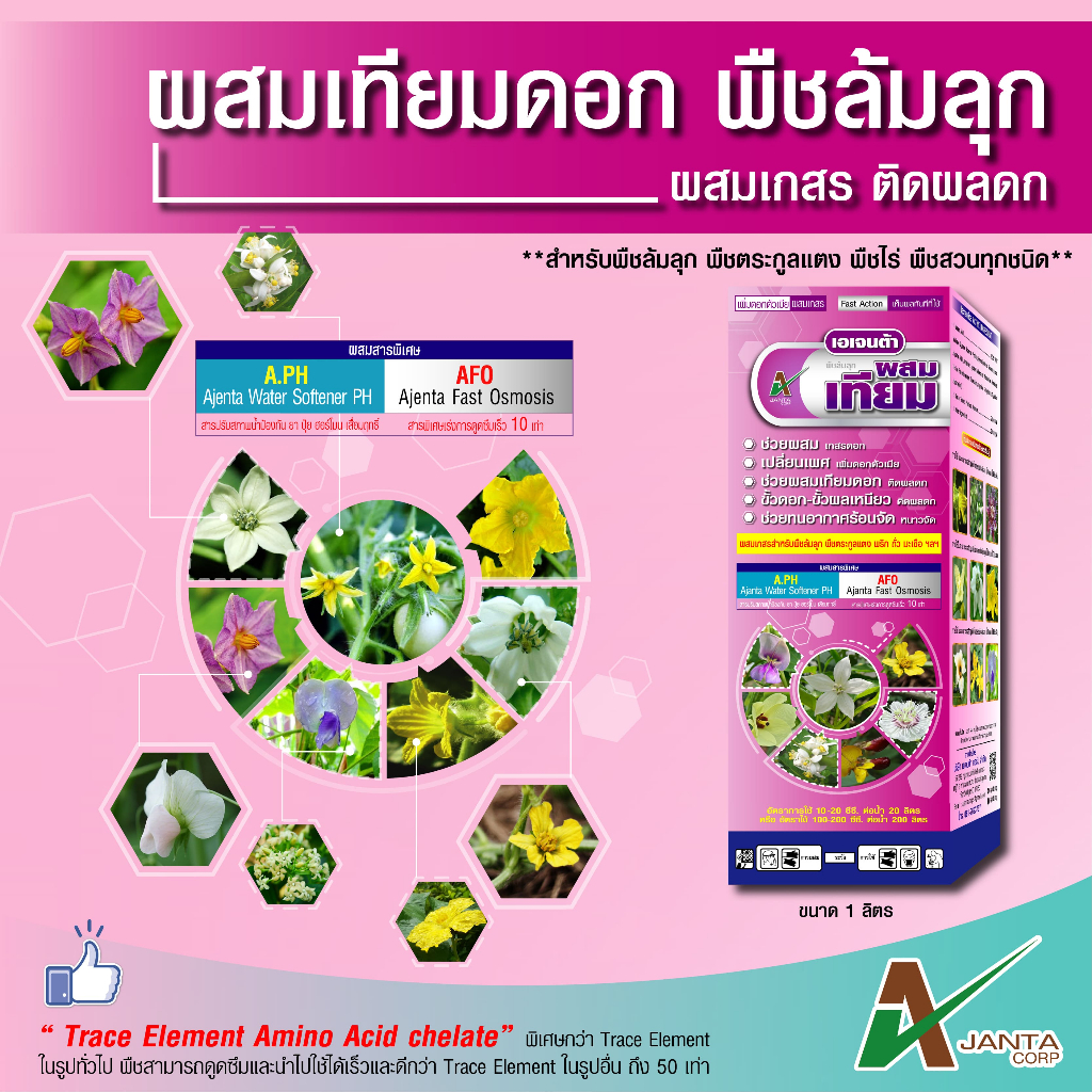 ผสมเกสร ผสมเทียม เปลี่ยนเพศ เพิ่มดอกตัวเมีย ติดผลดก ขั้วเหนียว สูตรพืชล้มลุก แตง พริก ถั่ว มะเขือ เอเจนต้า คอร์ป