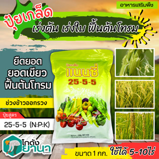 🌾 แนนซี่ 25-5-5 (ปุ๋ยเกล็ดผง) ขนาด 1กิโลกรัม เร่งงาม ยืดยอด แตกแขนง