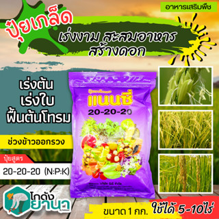 🌾 แนนซี่ 20-20-20 (ปุ๋ยเกล็ดผง) ขนาด 1กิโลกรัม บำรุงต้นและใบ เร่งการแตกกิ่ง ฟื้นต้นหลังเก็บเกี่ยว