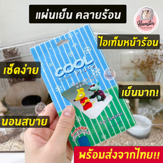 [Hamsterth] แผ่นเย็นคลายร้อน แผ่นเย็น คลายร้อน ที่นอนแฮมสเตอร์ บ้านหนูแฮมสเตอร์