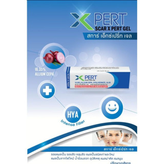 X PERT Allium Cepa Plus Gel 10 g. เจลลดรอยแผลเป็น ผลิตภัณฑ์ดูแลผิวลดรอยดำ รอยแดง ลดการอักเสบ เติมเต็มริ้วรอย และหลุมลึก