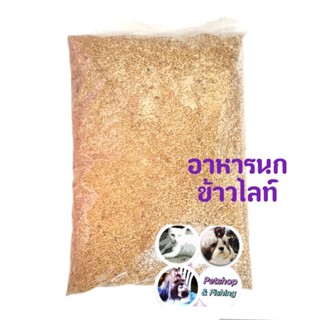 ข้าวไรน์ Canary Seed นำเข้าจาก Canada บำรุงให้ขนสวย มันเงา สำหรับนกแก้ว และหนูแฮมสเตอร์ (แบ่งขาย 250G / 500G / 1KG)