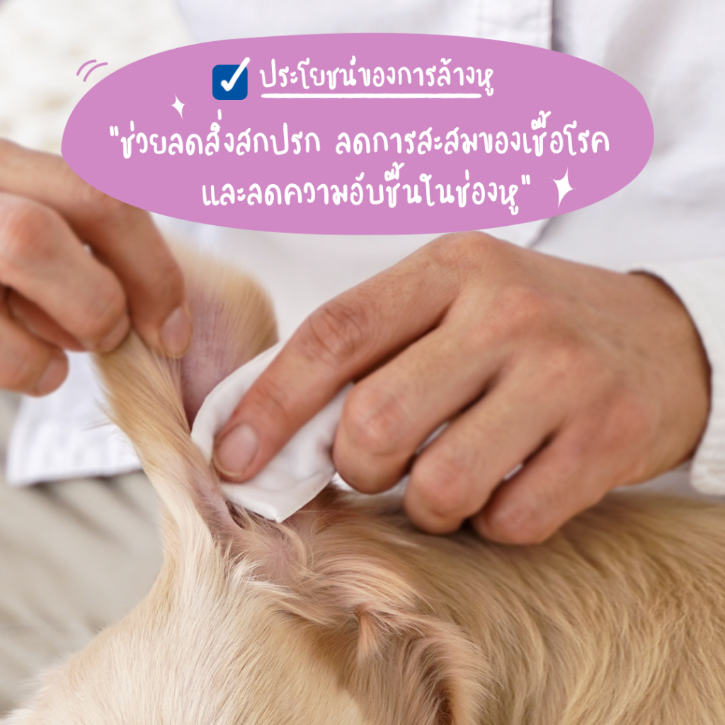 EpiOtic Virbac 125 ml🔥Exp.3/2027  Epi Otic อีพิ โอติก น้ำยาเช็ดหู ล้างหู ทำความสะอาดช่องหู สุนัข แมว EarCleaner - รูปที่ 3