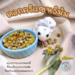 ( CHRYSANTHEMUM ) ดอกคริแซนธิมัมอบแห้ง คริแซนธิมัม ดอกเก็กฮวย ดอกไม้ ดอกไม้อบแห้ง ดอกไม้กินได้ ชูการ์ กระรอก แฮมสเตอร์