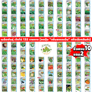 เจียไต๋ (Easy) เมล็ดพันธุ์ เคลควีน ขนาด5กรัม ประมาณ923เมล็ด Kale ผักเคล เคล เมล็ดพันธุ์พืช เมล็ดผัก ปลูกผักสวนครัว