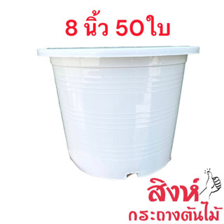 กระถาง 8 นิ้ว 50 ใบ (สีขาว สีอิฐ สีใส สีดำ)