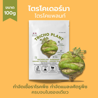 ไตรโคเดอร์มา (100กรัม) ผลงานวิจัยใหม่ กำจัดแมลงและโรคพืชได้ในซองเดียว เพาะเชื้อจากห้องLAB100%