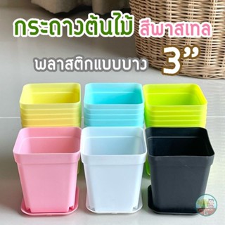 กระถางต้นไม้ 3 นิ้ว+จานรอง (3 ใบ) พลาสติกแบบบาง รุ่นประหยัด มีสีพาสเทล ขาว ดำ สำหรับปลูกต้นไม้ขนาดเล็ก แคคตัส