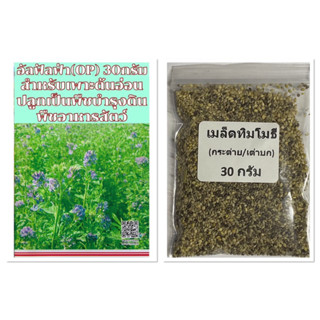 เมล็ด อัลฟาฟ่า Alfalfa 20-100กรัม / เมล็ด หญ้าทิมโมธี Timothy Grass / เมล็ด ทิโมธี  เมล็ด อัลฟัลฟ่า