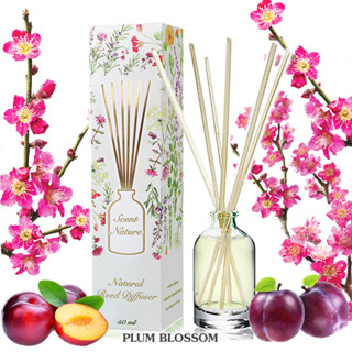 ก้านไม้หอมปรับอากาศ 50 ml PLUM BLOSSOM