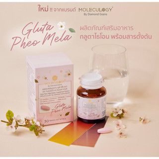 [พรีออเดอร์ รอสินค้าจัดส่งจากทางแบรนด์มายังร้านค้า] Gluta Pheo Mela Dietary Supplement Product