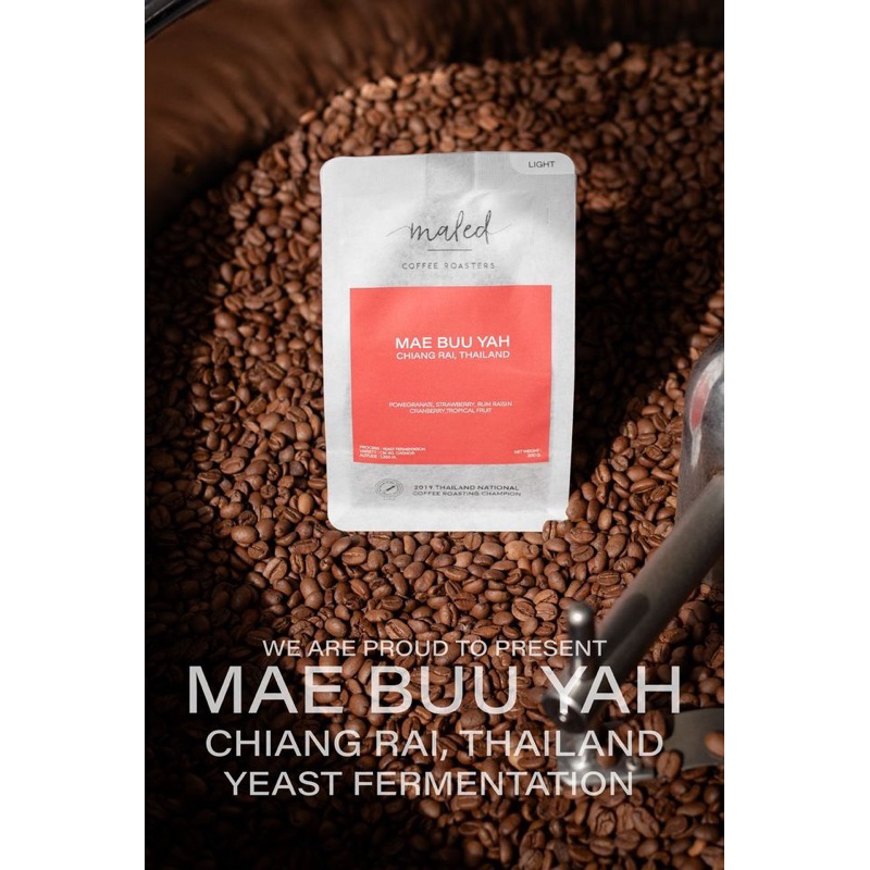 เมล็ดกาแฟคั่ว Mae Buu Yah Yeast Process