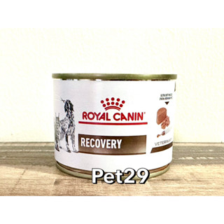 Royal Canin Recovery 195g (Exp.01/2025)อาหารสัตว์ป่วย พักฟื้น บำรุงสุขภาพ