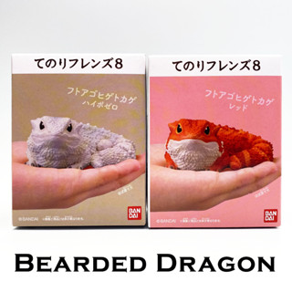 แยก Bearded Dragon Lizard Bandai Tenori Friends 8 โมเดลสัตว์ กิ้งก่า กิ้งก่ามังกรเครา เบียร์ดดราก้อน