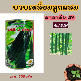 บวบเหลี่ยมลูกผสม ALADIN อะลาดิน 47 Loofah ขนาด 250 กรัม