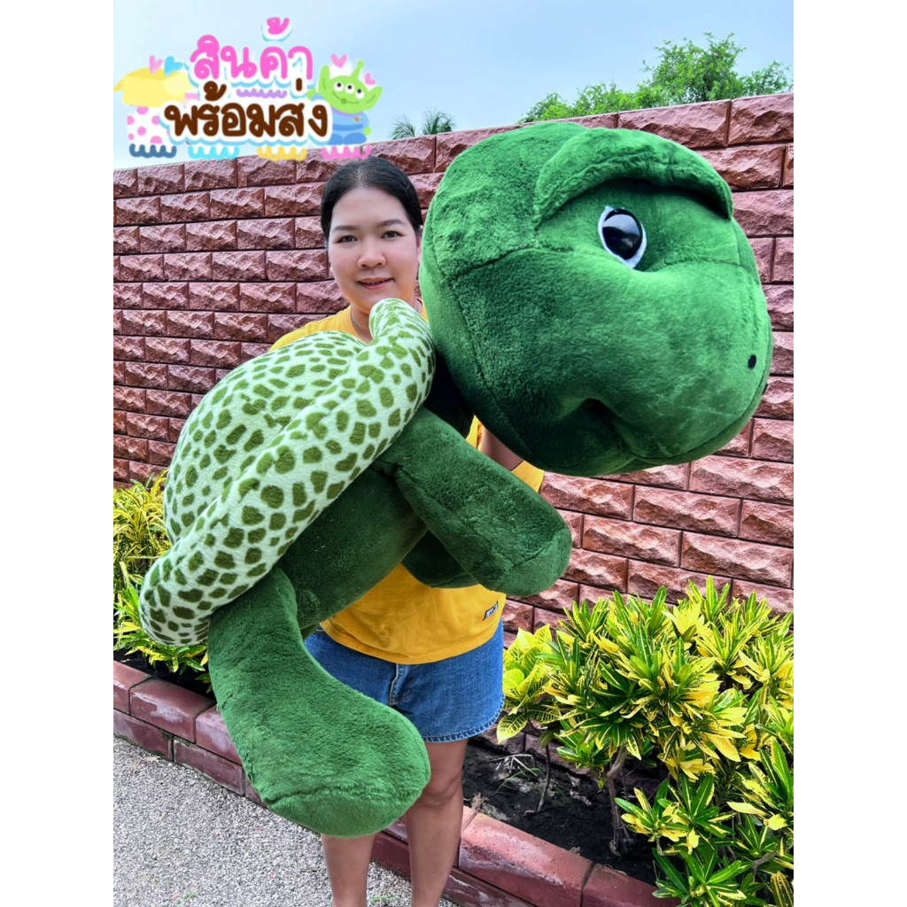 ตุ๊ดตาเต่าแซมมี่ ขนาด100CM กระดองใหญ่น่ารัก