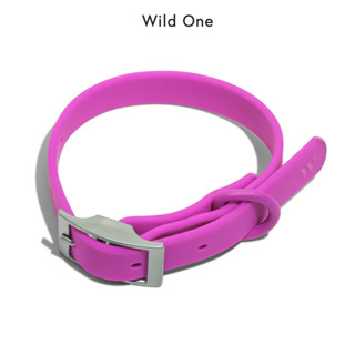 💜 Limited Color! │ Wild One – Collar│ Orchid