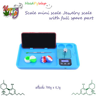 เครื่องชั่ง 700g x 0.1g ตาชั่ง สำหรับScale mini scale Jewelry scale with full spare part เครื่องชั่ง พร้อมถาด