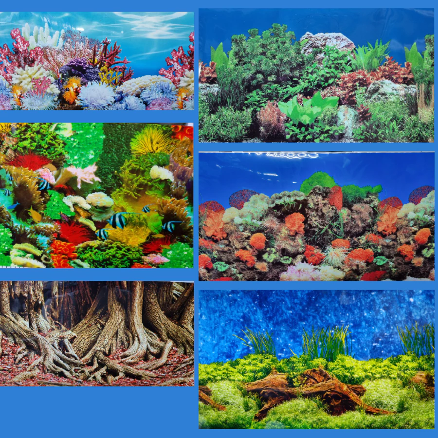 ภาพวิวตู้ปลาสูง12 นิ้วหรือ 30 ซม.โปสเตอร์ตู้ปลา มีภาพ 2 ด้าน สำหรับติดด้านหลังตู้ปลาไม่มีกาวในตัว ดูวิธีสั่งซื้อด้านล่าง