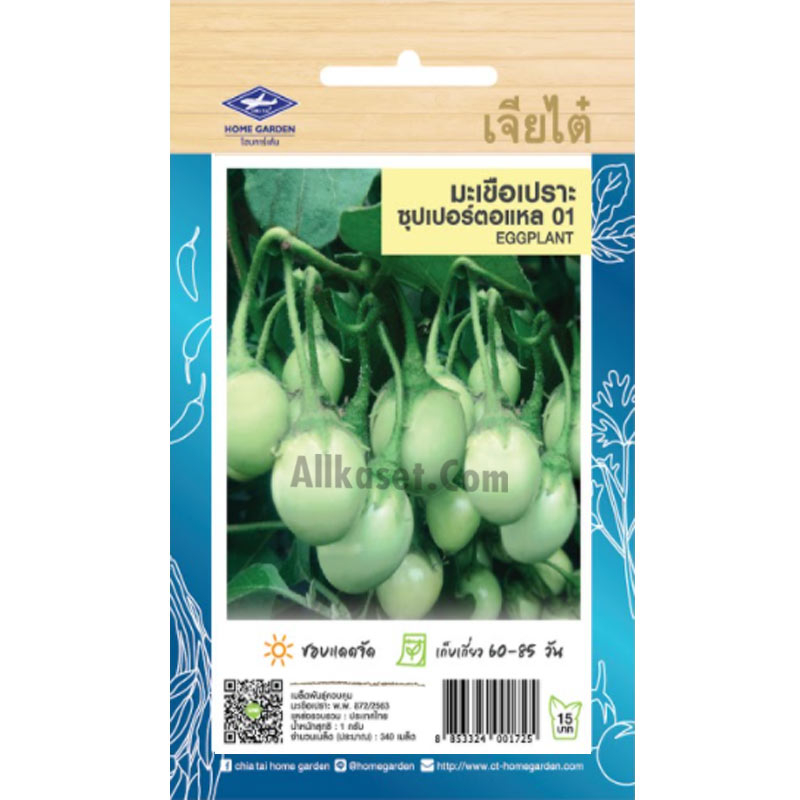 เมล็ดพันธ์ มะเขือเปราะซุปเปอร์ตอแหล01