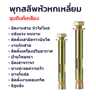 ADHAWK (ยกกล่อง) พุกสำหรับยึดงานจราจร พุกยึด พุกเหล็ก พุกยึดยางชะลอความเร็ว M10 M12 M1