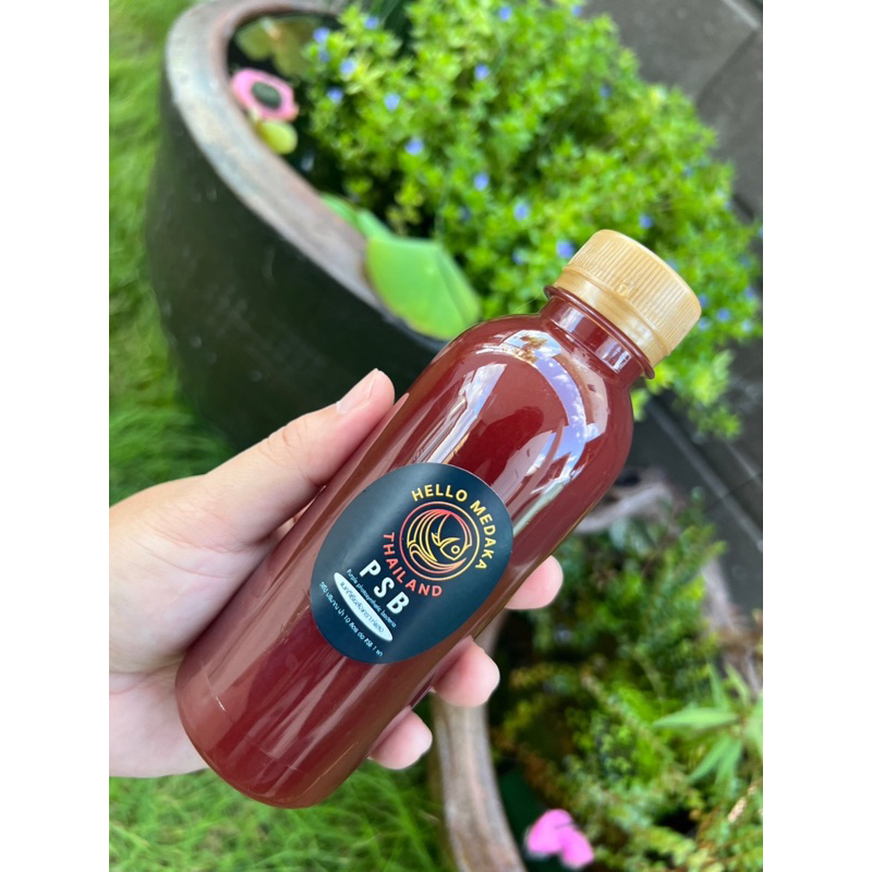 PSB จุลินทรีย์สังเคราะห์แสง สูตรญี่ปุ่น(เลี้ยงปลาเมดากะ, ปลาสวยงาม) ขนาด 270 มล.