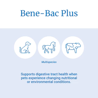 PetAg Benebac plus gel 30 g 🔥Exp.11/2027 จุลินทรีย์ โพรไบโอติก probiotic ช่วยย่อย สุนัข แมว กระต่าย