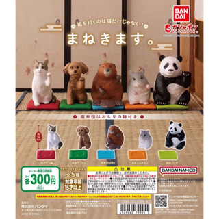 🅟🅕 กาชาปองสัตว์นานาชนิดกวักนำโชค 🍀🐼🐱🦫🐶🐹🍀 Animals “I invite you” gashapon