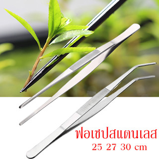 ฟอเซป ปากคีบ Forceps แหนบสแตนเลสแท้ ปลายตรง ปลายโค้ง จัดตู้ไม้น้ำ ผสมเกสร คีบเมล็ด จัดสวนถาด