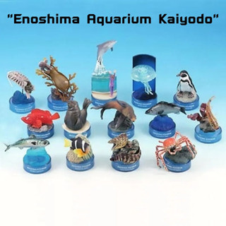 (เพิ่มตัวลับพร้อมส่ง) Gachapon กาชาปองงานฝาพิพิธภัณฑ์สัตว์น้ำ Enoshima Aquarium Kaiyodo โมเดลสัตว์