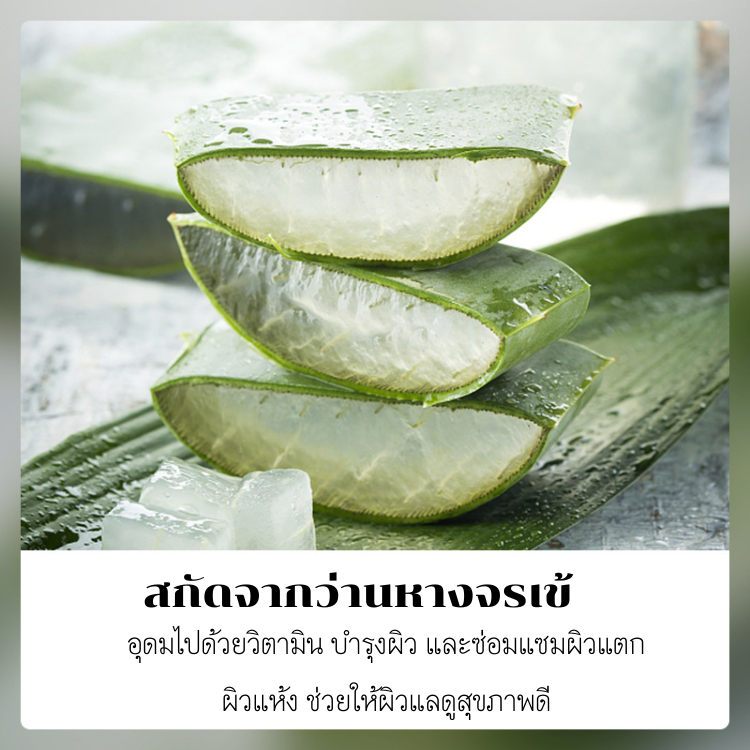 ครีมทามือ ว่านหาง กลิ่นหอมจางๆ บำรุง ซ่อมแซมผิว ให้เนียนนุ่ม สุขภาพดี - รูปที่ 2